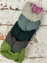 Load image into Gallery viewer, Kinross 4 Ply Mini Skein Hanks, 5x20g
