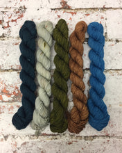 Load image into Gallery viewer, View from Cuilcagh Minis Sock Set, Superwash Bluefaced Leicester, 100g
