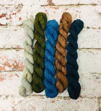Load image into Gallery viewer, View from Cuilcagh Minis Sock Set, Superwash Bluefaced Leicester, 100g

