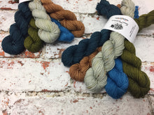 Load image into Gallery viewer, View from Cuilcagh Minis Sock Set, Merino/Nylon, 100g
