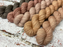 Load image into Gallery viewer, Minis Sock Set, Merino/Nylon, 100g, The Subtles
