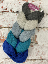 Load image into Gallery viewer, Kinross 4 Ply Mini Skein Hanks, 5x20g
