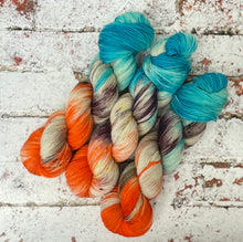 Load image into Gallery viewer, Superwash BFL Nylon Ultimate Sock Yarn, 100g/3.5oz, Just Dunk Me
