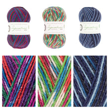 Load image into Gallery viewer, WYS Signature 4ply - Sparkle
