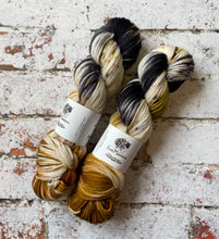 Load image into Gallery viewer, Superwash Merino DK/Light Worsted Yarn Wool, 100g/3.5oz, Meetings Have Biscuits
