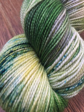 Load image into Gallery viewer, Superwash Merino Nylon Titanium Sock Yarn, 100g/3.5oz, Tell it to the Frogs
