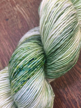 Load image into Gallery viewer, Superwash Merino Single Ply Fingering Yarn, 100g/3.5oz, Tell it to the Frogs
