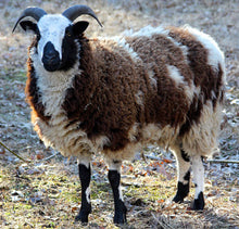Load image into Gallery viewer, Natural Light Oatmeal Aran Wool Socks from Kerry Woollen Mills
