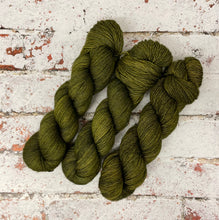 Load image into Gallery viewer, Superwash Merino Single Ply Fingering Yarn, 100g/3.5oz, Bagginses
