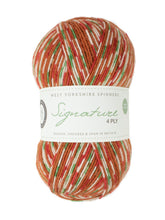 Load image into Gallery viewer, WYS Signature 4ply - Christmas
