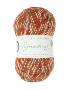 WYS Signature 4ply - Christmas