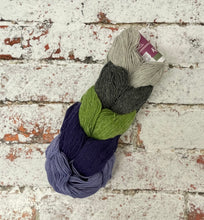Load image into Gallery viewer, Kinross 4 Ply Mini Skein Hanks, 5x20g
