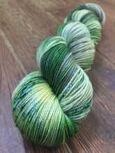 Load image into Gallery viewer, Superwash Merino Nylon Titanium Sock Yarn, 100g/3.5oz, Tell it to the Frogs
