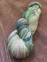 Load image into Gallery viewer, Superwash Merino Single Ply Fingering Yarn, 100g/3.5oz, Tell it to the Frogs
