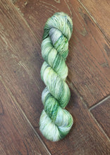 Load image into Gallery viewer, Superwash Merino Single Ply Fingering Yarn, 100g/3.5oz, Tell it to the Frogs
