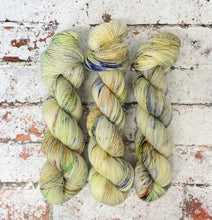 Load image into Gallery viewer, Superwash Bluefaced Leicester Nylon Ultimate Sock Yarn, 100g/3.5oz, Rendezvous
