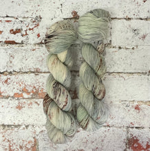 Load image into Gallery viewer, Superwash BFL Nylon Ultimate Sock Yarn, 100g/3.5oz, A Brave Man

