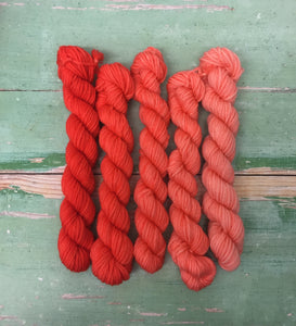 Superwash Merino DK/Light Worsted Minis, 100g/3.5oz, Magma Gradient Set