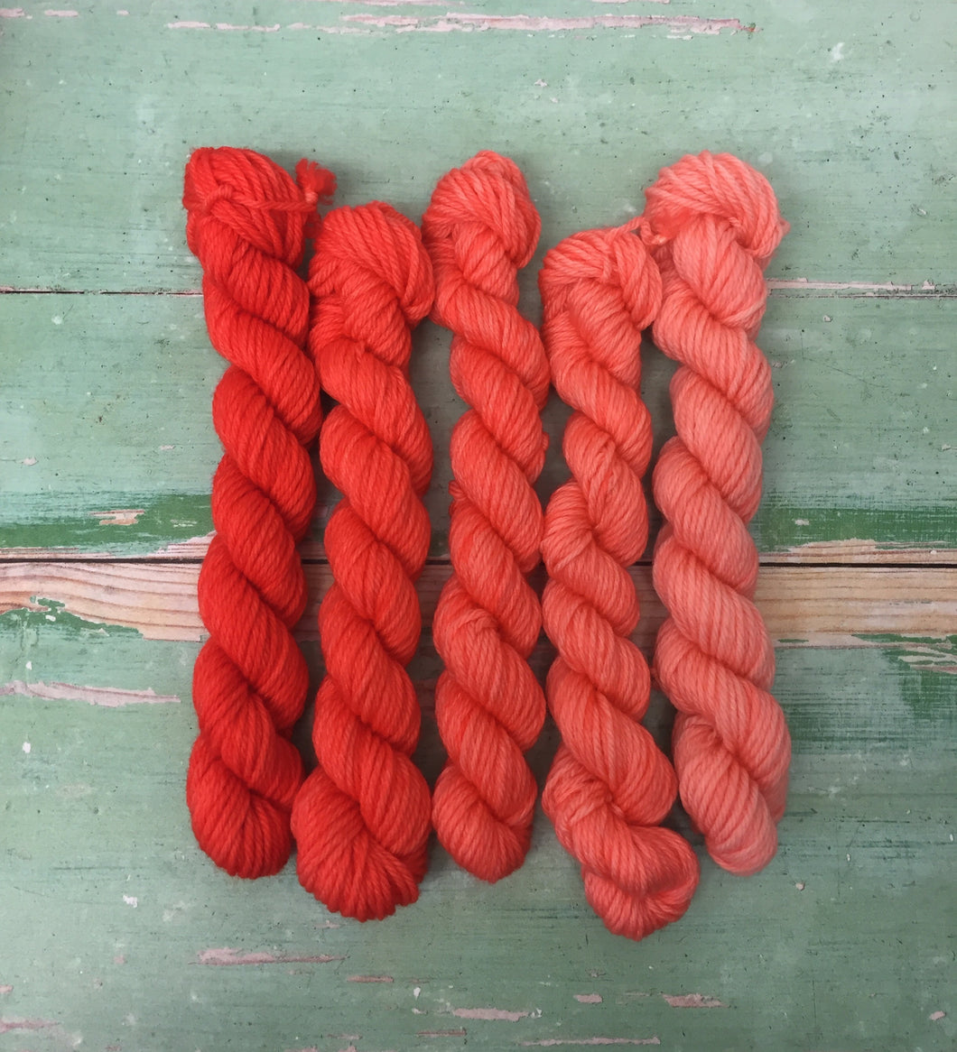Superwash Merino DK/Light Worsted Minis, 100g/3.5oz, Magma Gradient Set