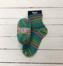 Load image into Gallery viewer, Opal Autumn Melody 4ply
