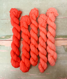Superwash Merino DK/Light Worsted Minis, 100g/3.5oz, Magma Gradient Set