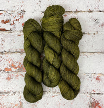 Load image into Gallery viewer, Superwash Merino Single Ply Fingering Yarn, 100g/3.5oz, Bagginses

