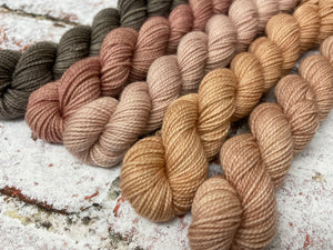 Minis Sock Set, Merino/Nylon, 100g, The Subtles
