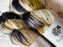 Load image into Gallery viewer, Superwash Merino DK/Light Worsted Yarn Wool, 100g/3.5oz, Meetings Have Biscuits
