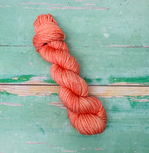Load image into Gallery viewer, Superwash Chunky Merino, 100g/3.5oz, Peachy
