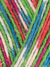 Load image into Gallery viewer, WYS Signature 4ply - Sparkle
