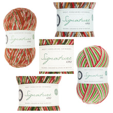 Load image into Gallery viewer, WYS Signature 4ply - Christmas
