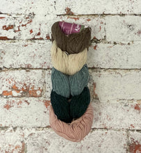 Load image into Gallery viewer, Kinross 4 Ply Mini Skein Hanks, 5x20g

