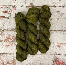 Load image into Gallery viewer, Superwash Merino Single Ply Fingering Yarn, 100g/3.5oz, Bagginses
