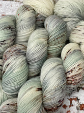 Load image into Gallery viewer, Superwash Merino Nylon Titanium Sock Yarn, 100g/3.5oz, The Brave Man
