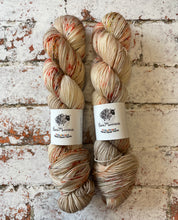 Load image into Gallery viewer, Superwash Merino Nylon Titanium Sock Yarn, 100g/3.5oz, OOAK
