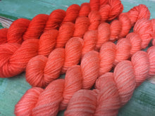 Load image into Gallery viewer, Superwash Merino DK/Light Worsted Minis, 100g/3.5oz, Magma Gradient Set
